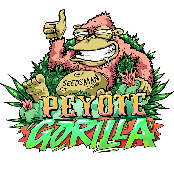 Peyote Gorilla