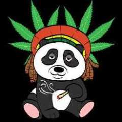 PandaZawr