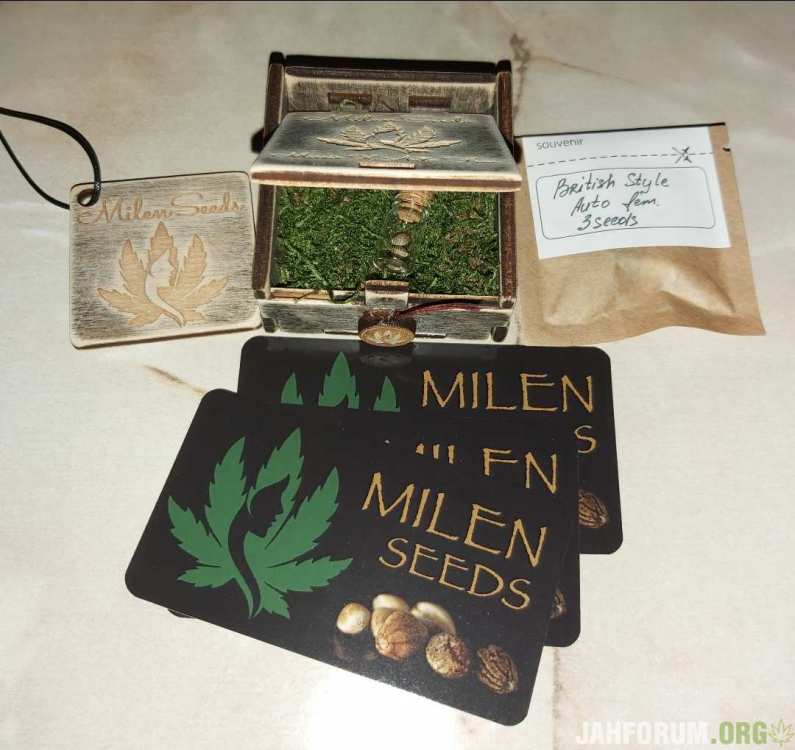 Milen Seeds2.jpg