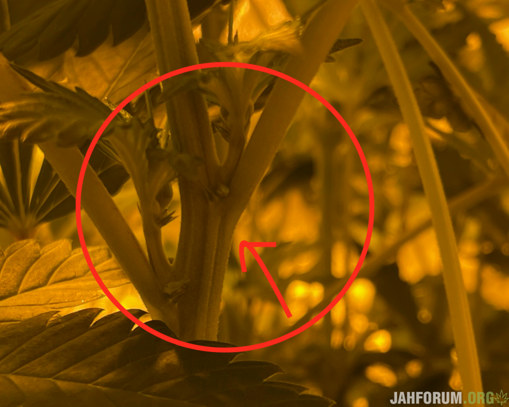 Снимок экрана 2021-01-29 в 20.27.11.png