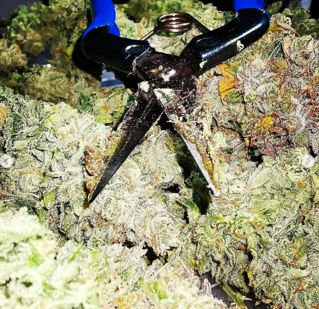 Strawberry Banana Grape
