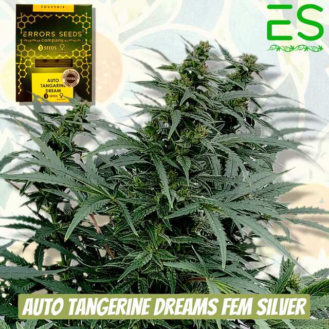 Auto Tangerine Dreams fem Silver