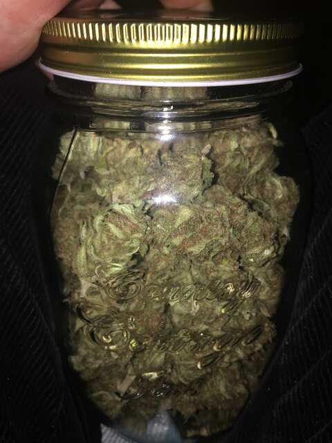 Cream Caramel FV(аут 2020)