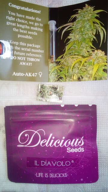 Будущая новая микромашина?