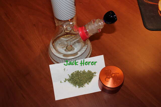 JackHerer2021.JPG