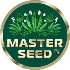 Master-Seed