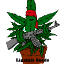 LigalaizSeeds