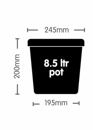 easy2grow_8_5ltr_pot_icon_black.jpg.07552bd5ade9b1835dc6c92e48182da2.jpg