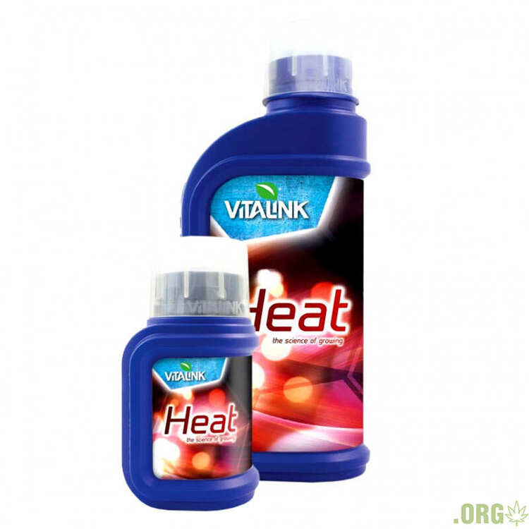 heat-1024x1024-800x800.jpg