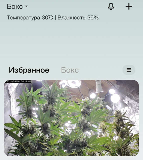 Фулл контроль )