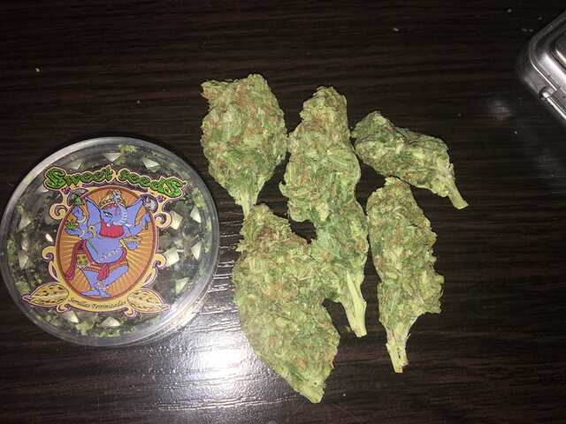 White Russian fast ot GM(outdoor)