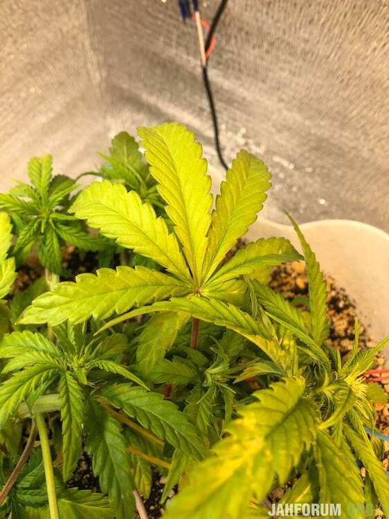 photo_2022-01-27_16-34-47 (2).jpg