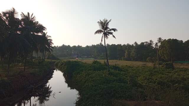 IMG_20220129_172145.jpg