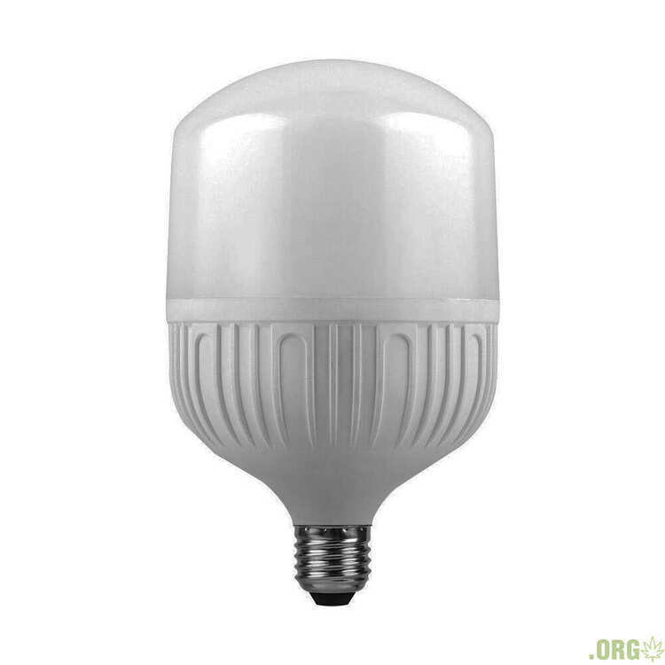 svetodiodnaya-lampa-40w-e27-6500k-3600-lm.jpg