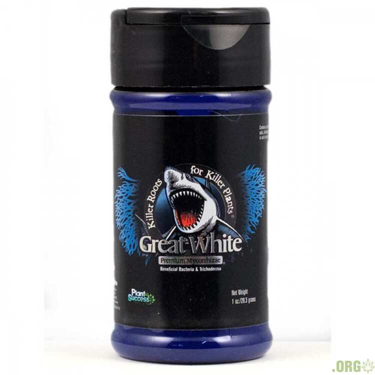 great-white-1-oz_square-600x600-1000x1000.thumb.jpg.d53e39a61b9a0f9c2528d8f2be993a21.jpg