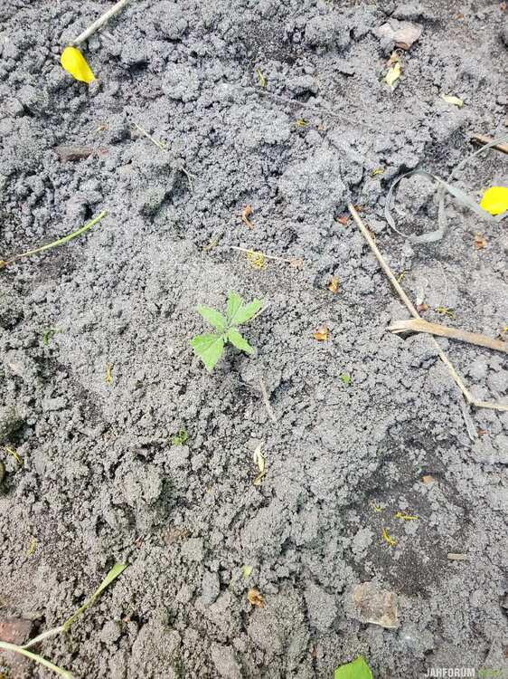20220527_173918.jpg