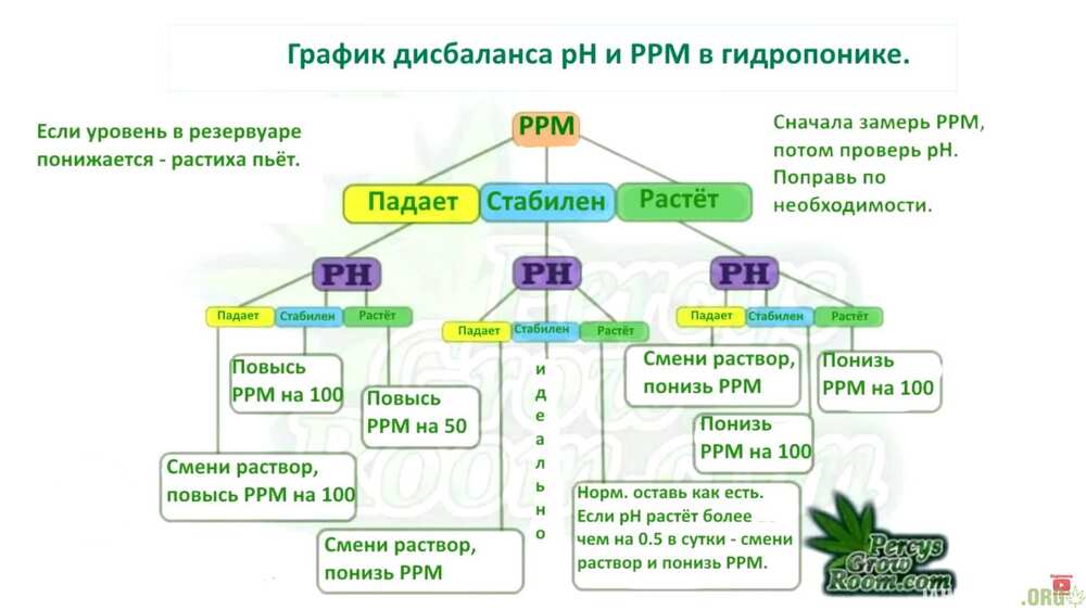 Новый точечный рисунок.jpg