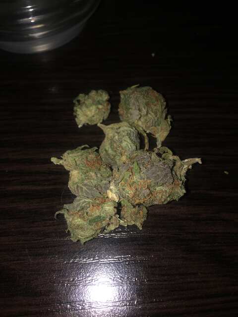 Critical sensi star early