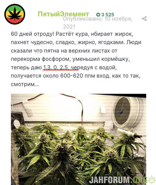 E5FD5C24-BABC-49EA-99BE-DB4149D0F2EB.thumb.jpeg.eaece90aa1bd105c8f49a776a054b119.jpeg