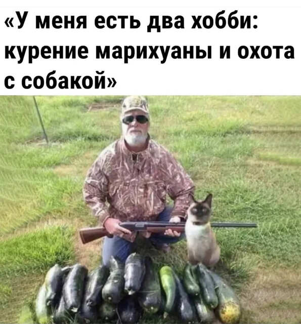 марихуана-собака-охота-хобби-7429176.jpeg