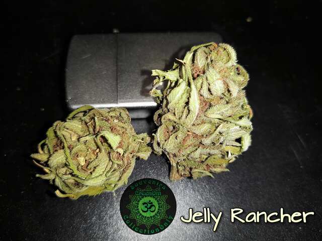 By GreenOM Jelly Rancher