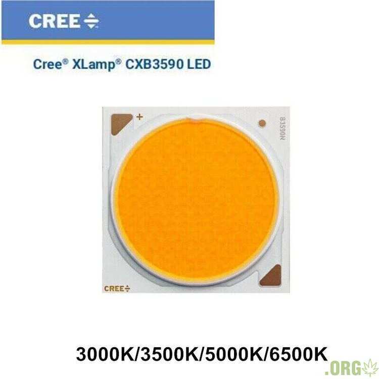 a2a9fb405eb11df78e1204bfd8557e32.jpg