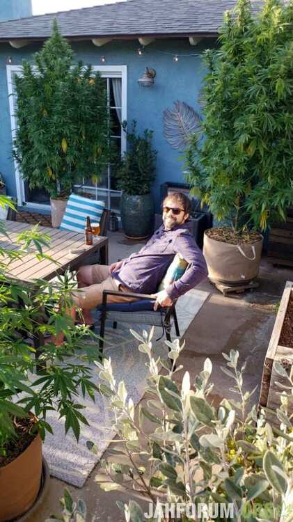 how-to-grow-cannabis-patio.jpeg