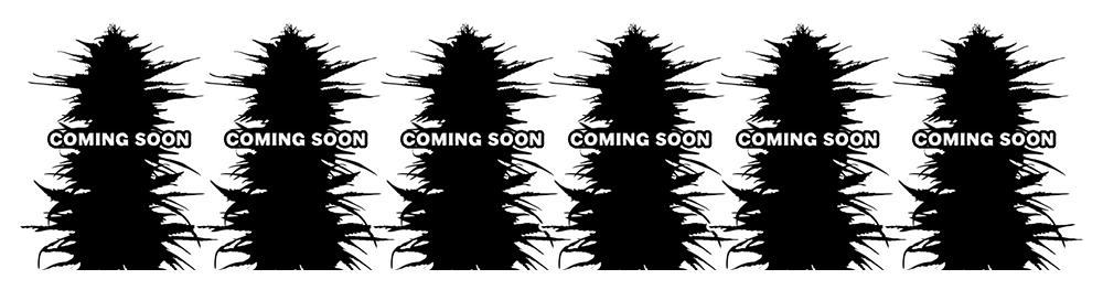 comingsoon.png.69a263121b4d9695252ee98cefc8b99b.png