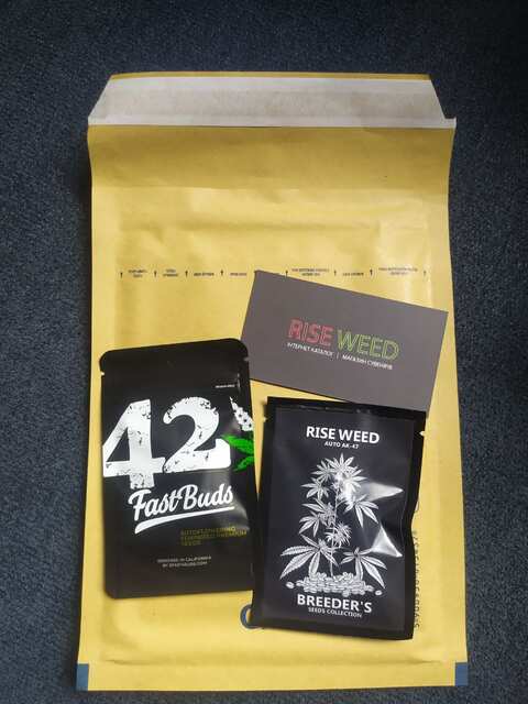 Fast Buds