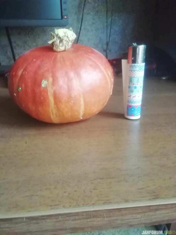 received_593187706354907.jpeg
