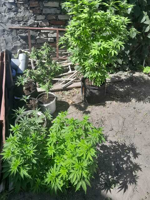 20240703_093752.jpg
