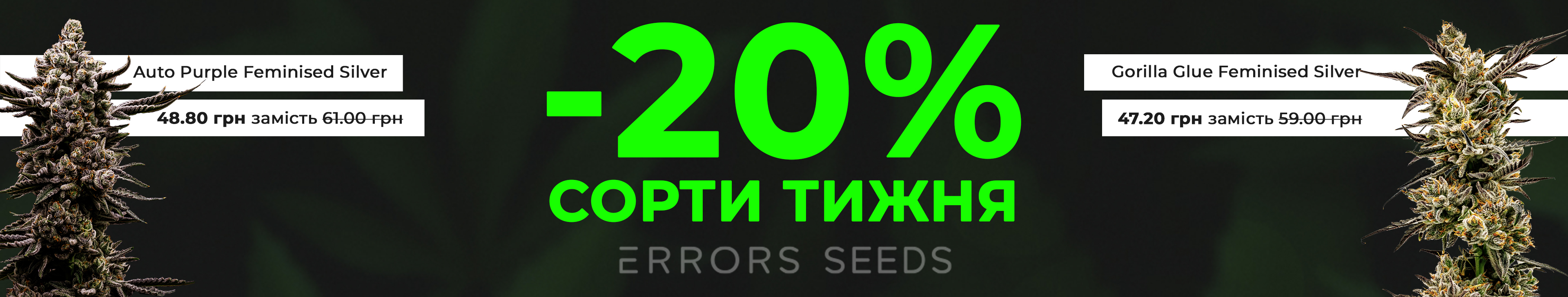 Сорта недели от Errors Seeds!