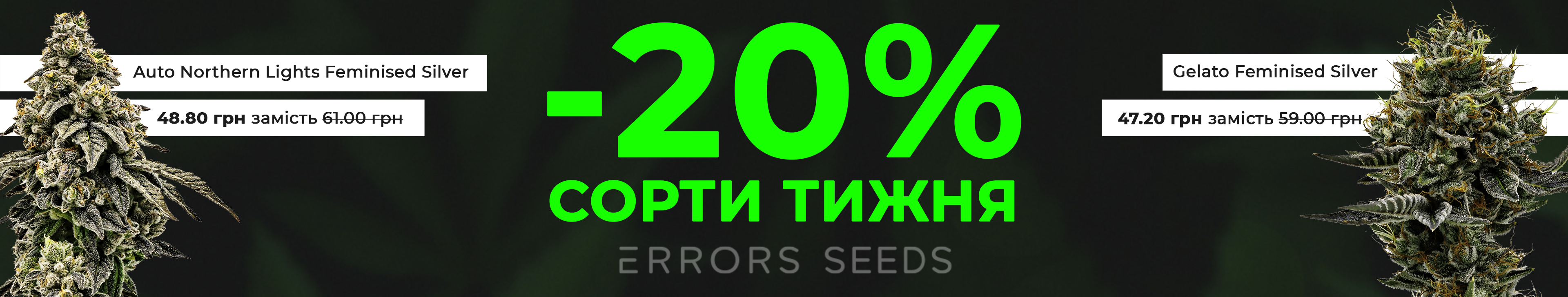 Сорта недели от Errors Seeds!