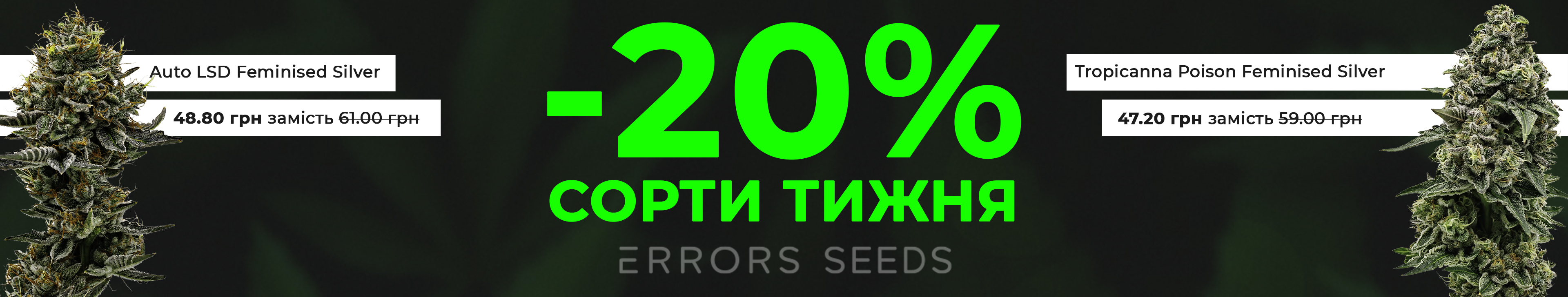 Сорта недели от Errors Seeds!