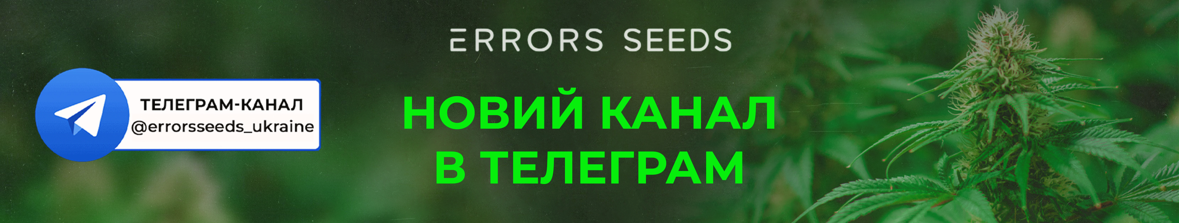 Новий канал Errors Seeds