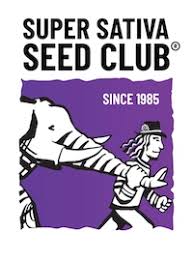 SSSCLogo.jpeg