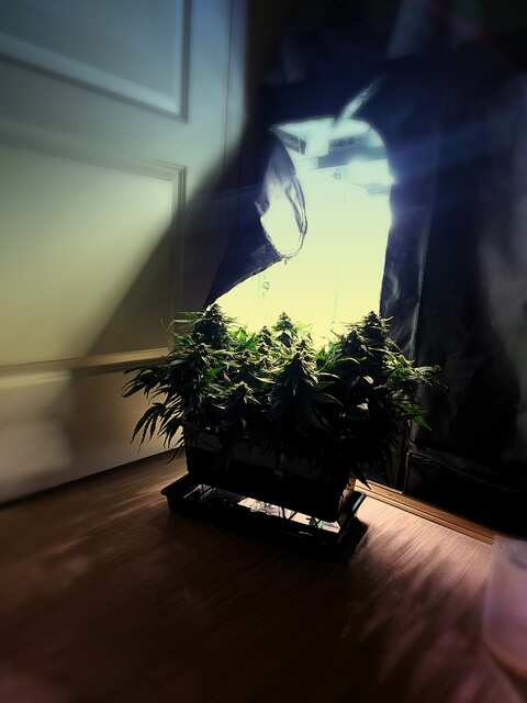 CYMERA_20250428_203048.jpg