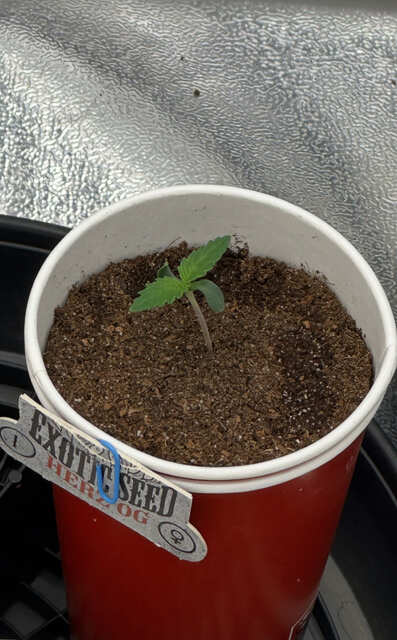 Day 3