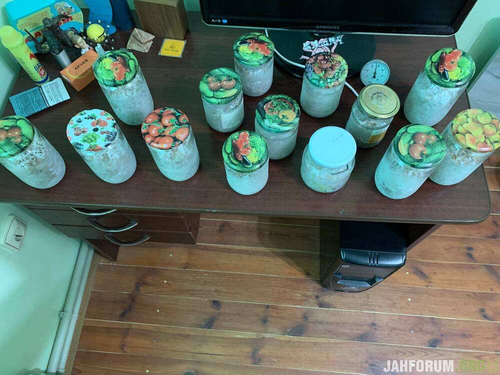 photo_2025-07-08_09-44-58 (2).jpg