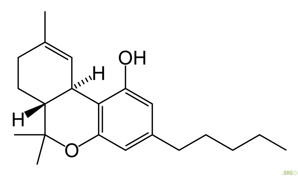THC-skeletal.thumb.png.7e64b30bde7e511c7cb9ca30513de5b5.png