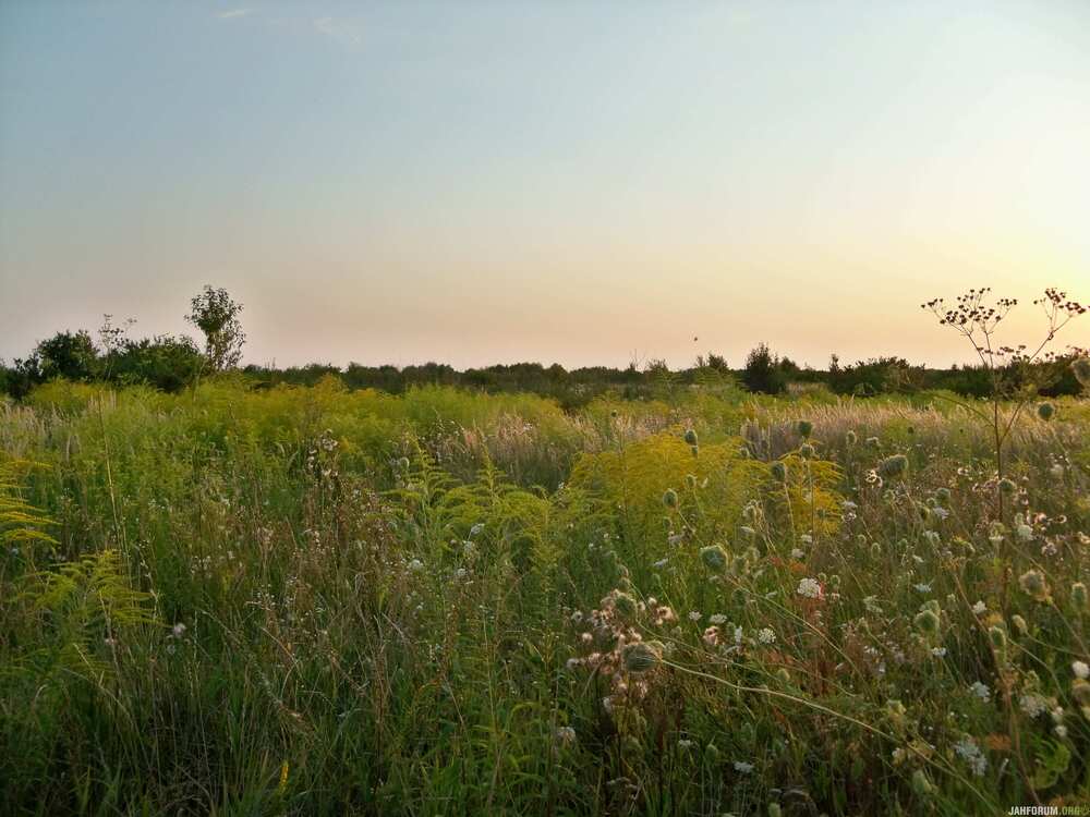 102_9624.thumb.JPG.1bfdd6bc107a0fcc505ecf6fc102ddf0.JPG