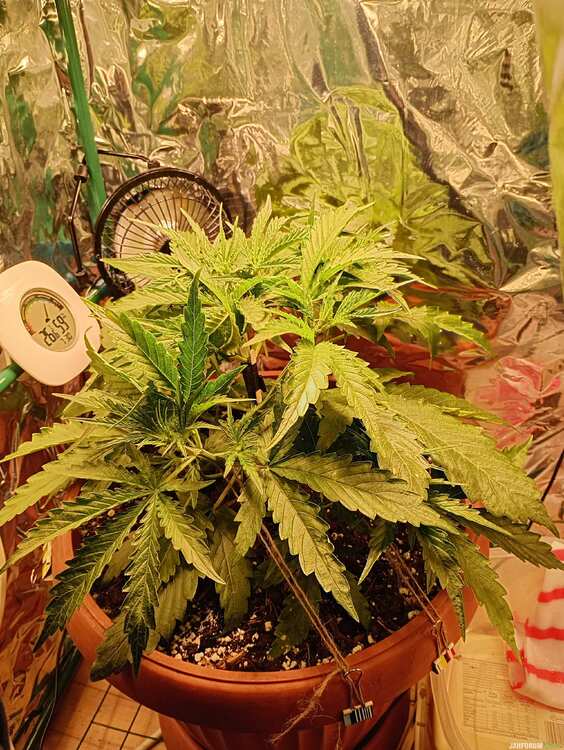 IMG_20250801_073027575_HDR.jpg