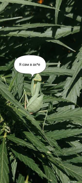 IMG_20250812_140135.jpg