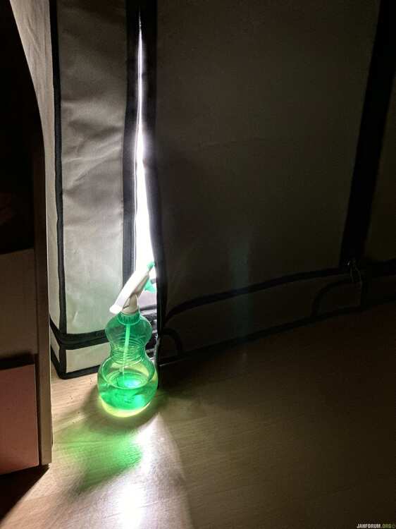 IMG_7636.thumb.jpeg.e01e43d0d31022eb667db61e9feb93e6.jpeg