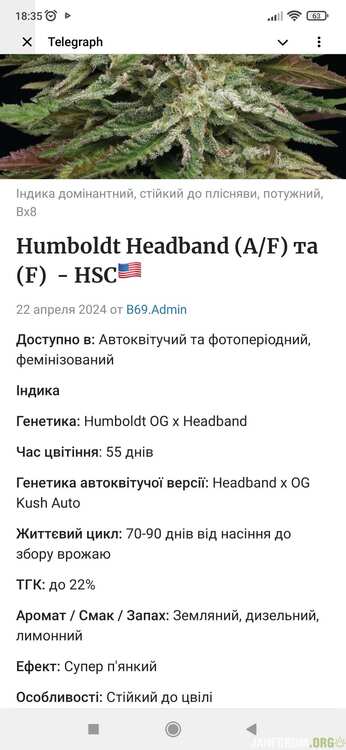 headband.thumb.jpg.119de40a0365d5f137fb1bbe775ffcc5.jpg