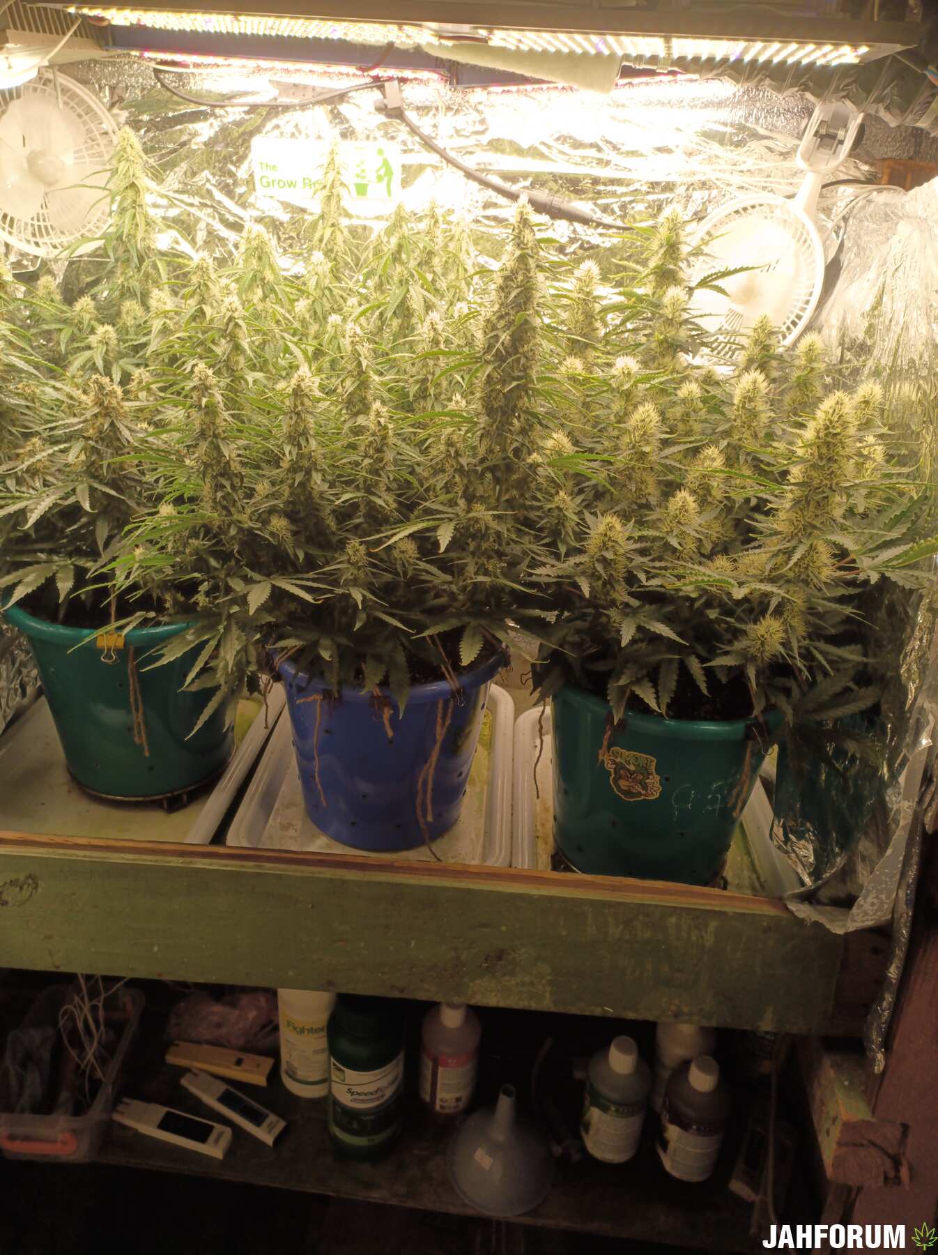 Первый альбом