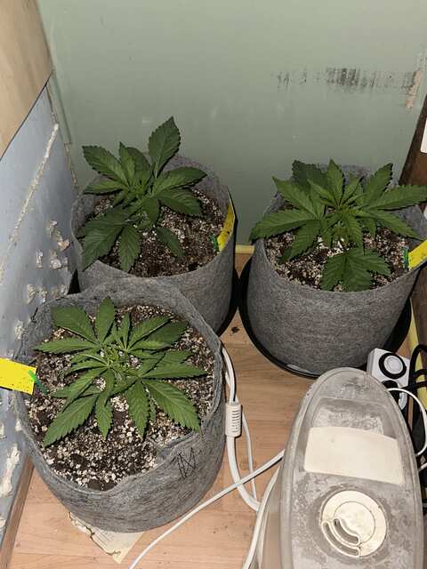 Week-2