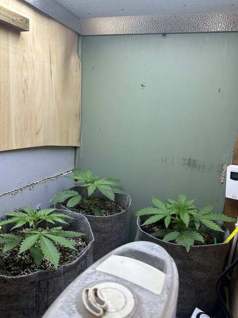 Week-2
