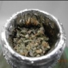 RawRasta