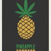 PineappleEX